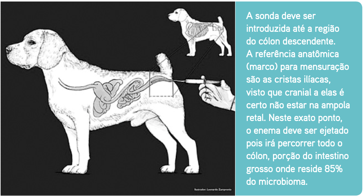 Newbiota